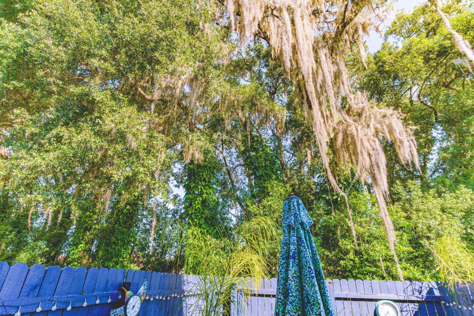 The Estate At Mt Dora Hotell Mount Dora Eksteriør bilde